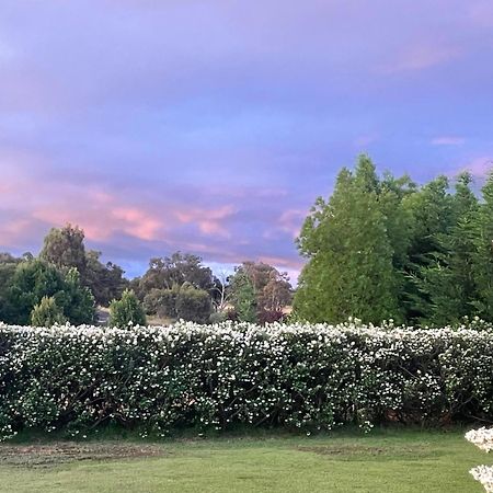 Mudgee Guesthouse Εξωτερικό φωτογραφία
