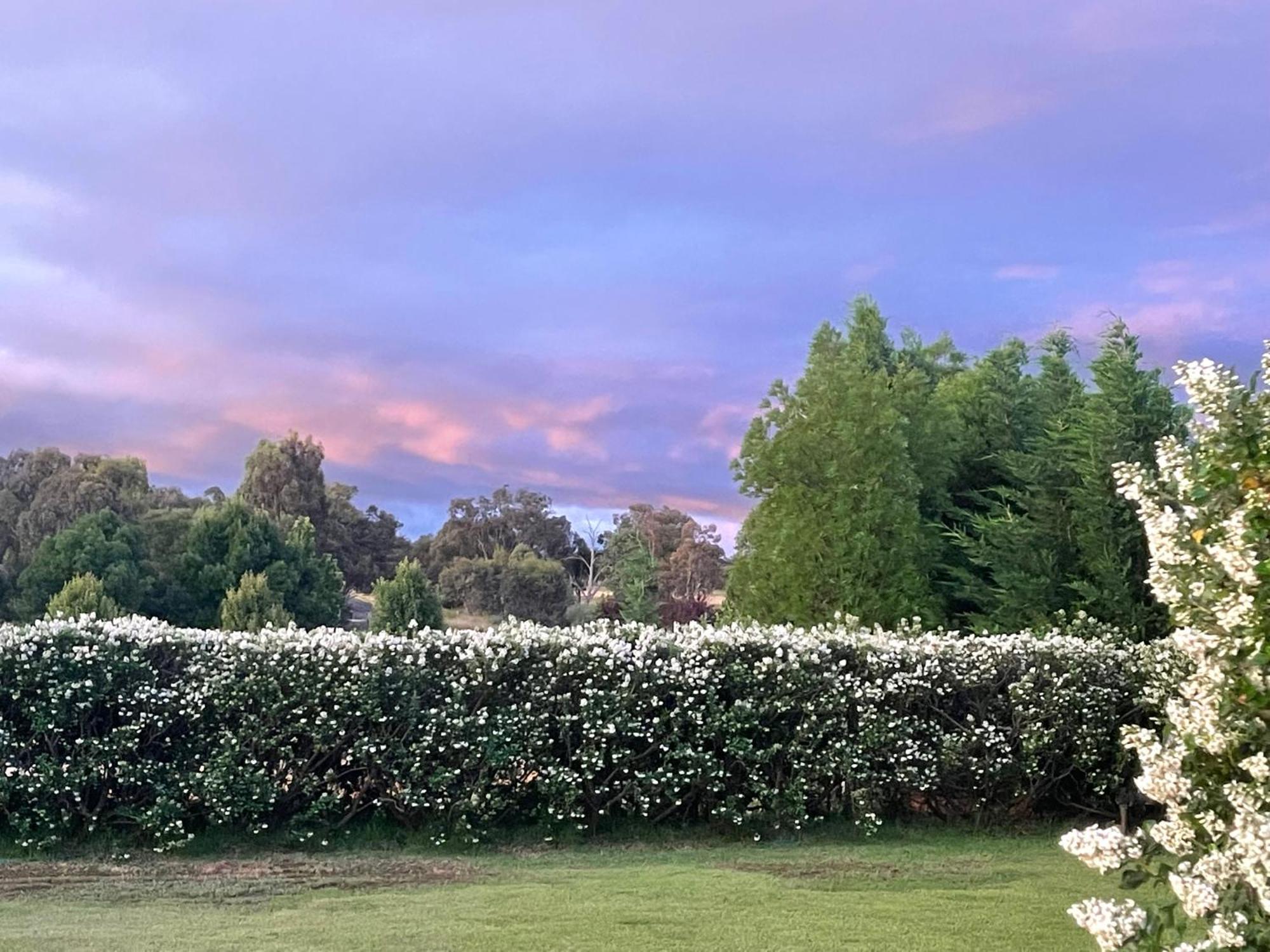 Mudgee Guesthouse Εξωτερικό φωτογραφία